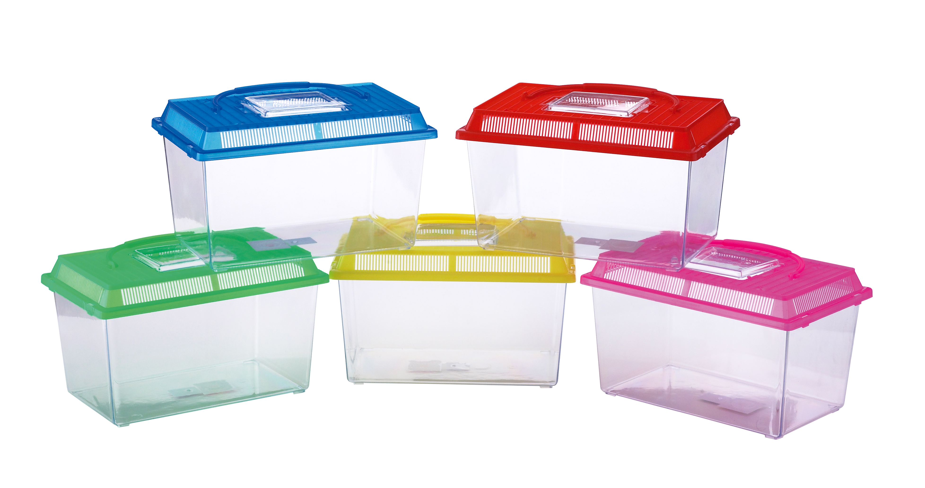 PECERA DE PLÁSTICO MOLY PEQUEÑA 18 X 11 X 14 CM CON TAPA Y ASA | ACUARIO PORTÁTIL PARA PECES ORNAMENTALES