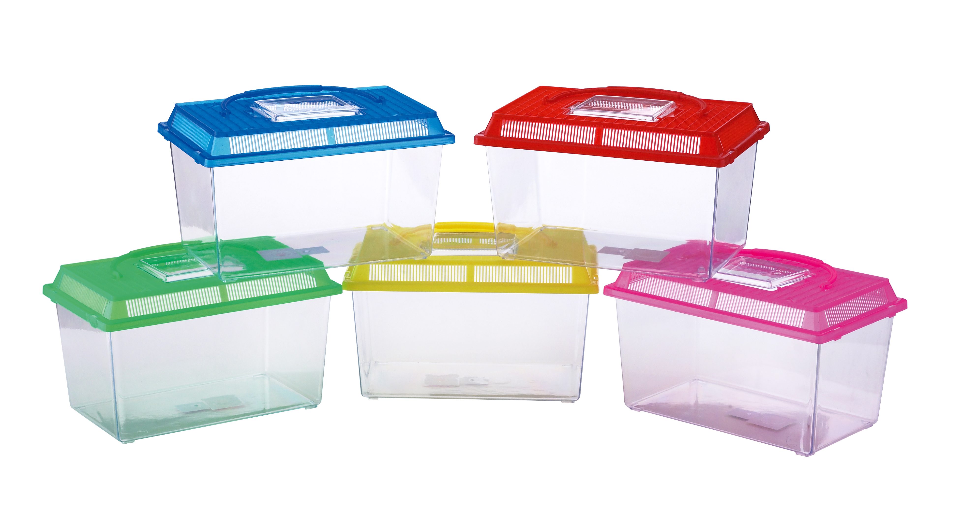 PECERA PLASTICO MEDIANA MOLY 27X16X16XCM-ACUARIO Y TRANSPORTE DE PECES