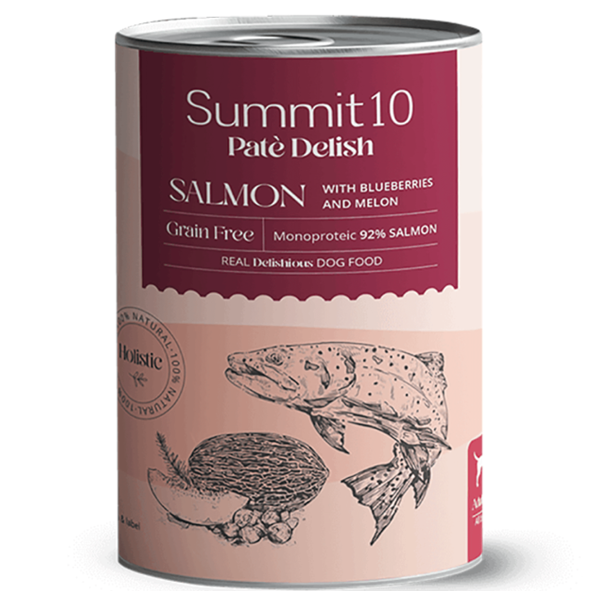 SUMMIT 10 PATÉ DELISH SALMON GRAIN FREE 400 GR | ALIMENTO HÚMEDO MONOPROTEICO PARA PERROS ADULTOS