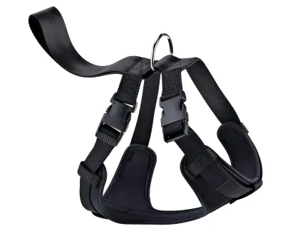 ARNES NYLON DE SEGURIDAD Y PASEO M