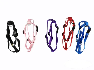 ARNES NYLON LISO 50-70cm X 2cm
