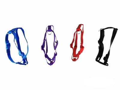 ARNES NYLON LISO30-50 CM X 1,5 CM