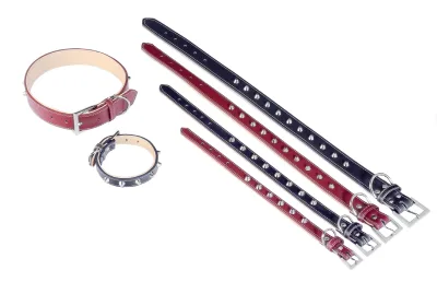 COLLAR CUERO FORNITURE 3X60 cm
