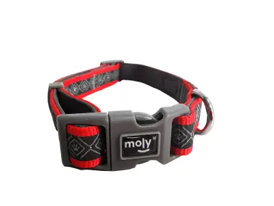 Collier Moly Néoprène Rainbow Reflect T-L