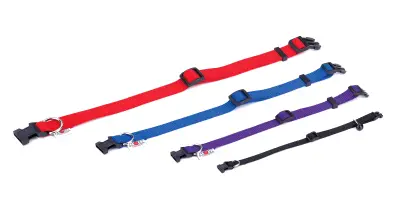 COLLAR NYLON LISO 23-35 X 1cm C/ CASCABEL