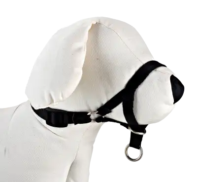 DOG CONTROL N.6 44cm