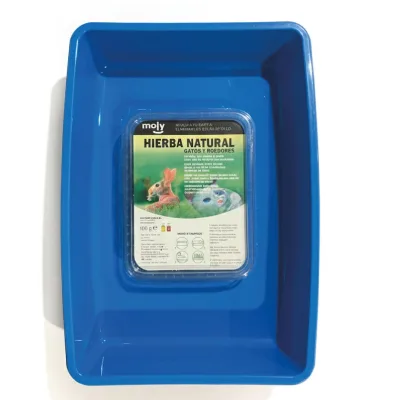 Kit Herbe à Chat Moly 100 g avec Plateau Compact | Digestion Naturelle et Bien-être Félin
