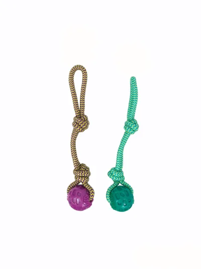 Mordedor TPR Collection Dior Pet Moly | Juguete Resistente, Elegante y Seguro para Perros