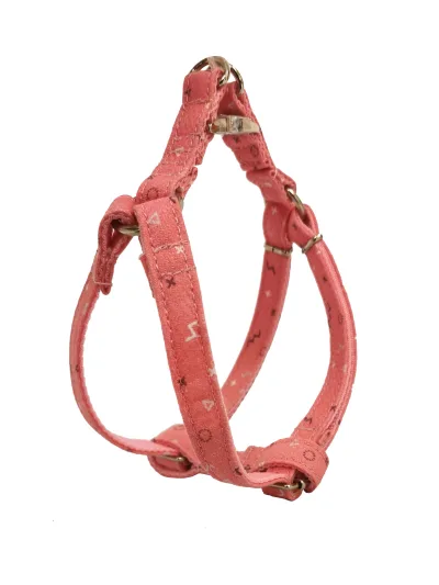 Harnais Moly Salmon T-3 30-40 1,5 cm