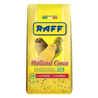 RAFF HOLAND COVA 300G