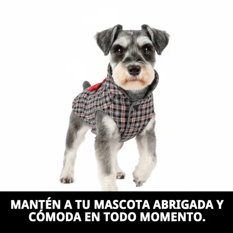 Manteau Izan T-M porté par un chien actif en promenade