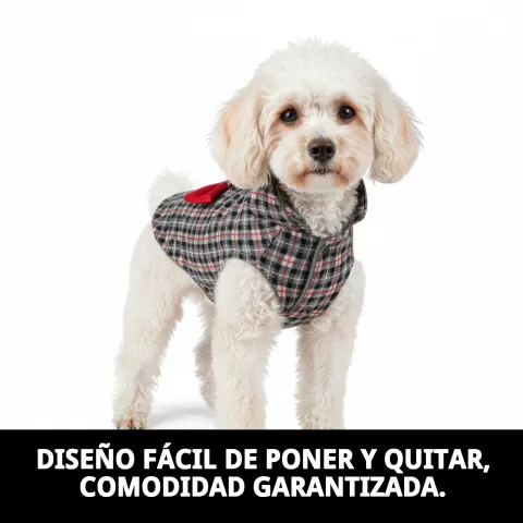 Manteau Izan T-XS sur petit chien par temps pluvieux
