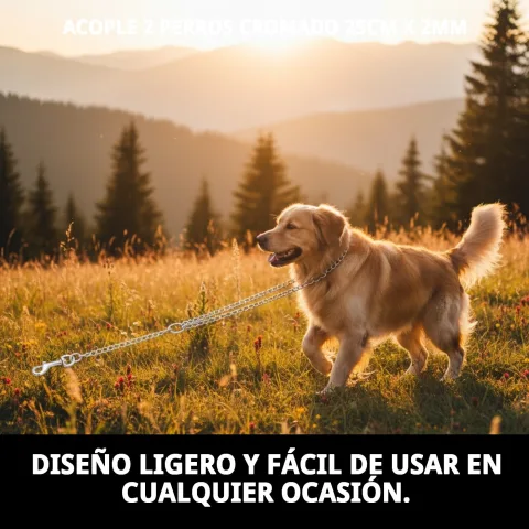 Acople cromado colocado en correas de perros pequeños