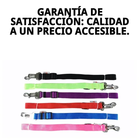 Accesorio de seguridad para mascotas en transporte en coche