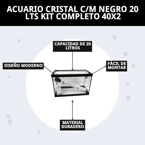 Aquarium cristal Moly 20 litres décoré avec plantes aquatiques