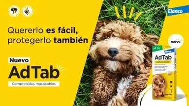 Détail des comprimés ADTAB OTC 900 MG pour chiens