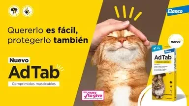 Comprimés ADTAB OTC Gato 12 MG pour chats de 0,5 à 2 kg