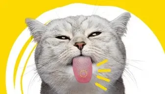 Flacon ADTAB OTC supplément anti-stress et anxiété pour chats