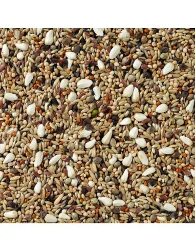 Sac d'alimentation pour agapornis disponible chez La Tribu Animale