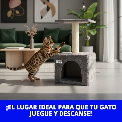 Détail de la maisonnette de l'arbre à griffer Lisboa