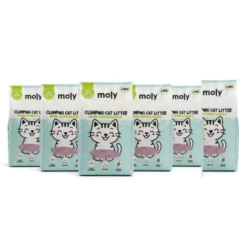 Litiere agglomérante tofu pour chats avec texture douce