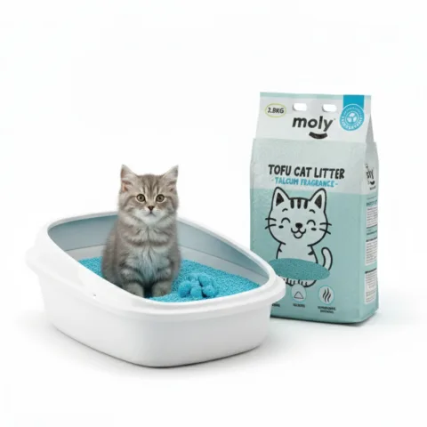Détail de la texture douce de la litière écologique pour chats