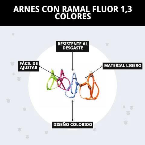 Ensemble harnais et laisse fluor pour haute visibilité