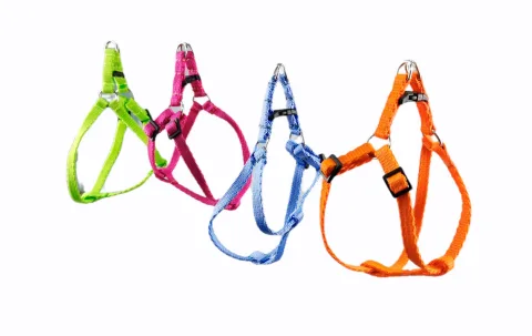 Harnais avec laisse fluor 1,3 couleurs pour chiens vue de face