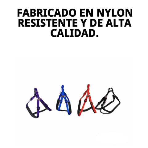 Arnés nylon confort 1 cm en perro pequeño durante paseo