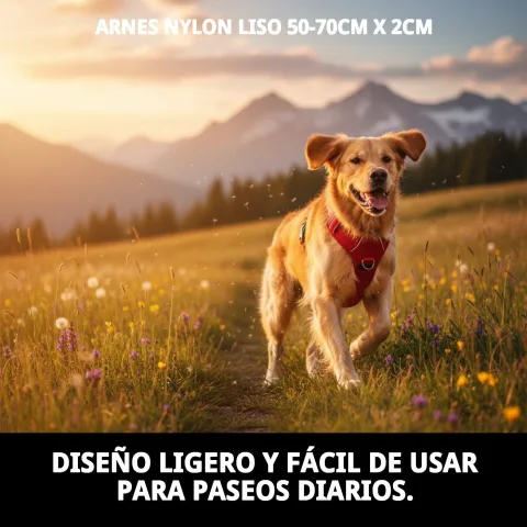 ARNES NYLON LISO 50-70cm X 2cm
