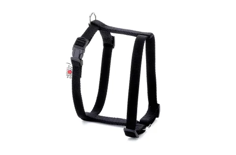 Perro con arnés nylon liso para paseo cómodo