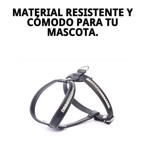 Perro con arnés piel luxury clavos en paseo urbano