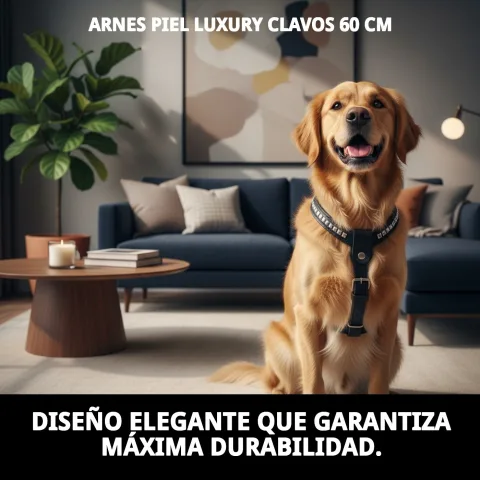 Cierre y hebillas del arnés piel luxury clavos 60 cm