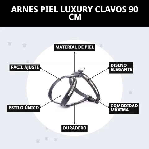 Arnés piel luxury clavados en paseo diario