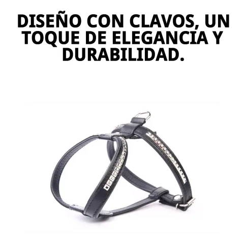 Arnés luxury clavados colocado en perro al aire libre