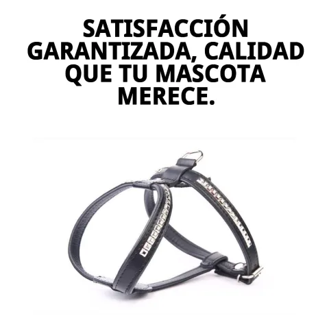 Sistema de ajuste del arnés luxury clavados