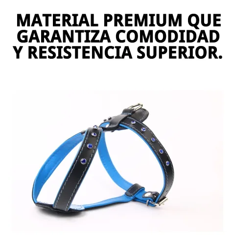 Arnés luxury cristal colocado en perro pequeño