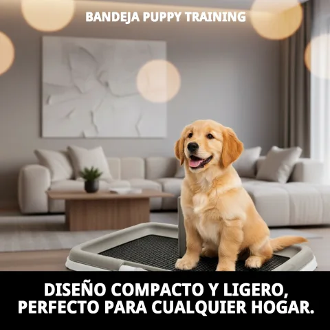 Limpieza sencilla de la bandeja Puppy Training con agua
