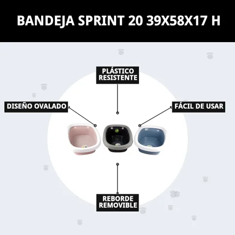 Design ergonomique du Bac Sprint 20