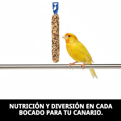 Canari picorant une barre nutritive dans sa cage