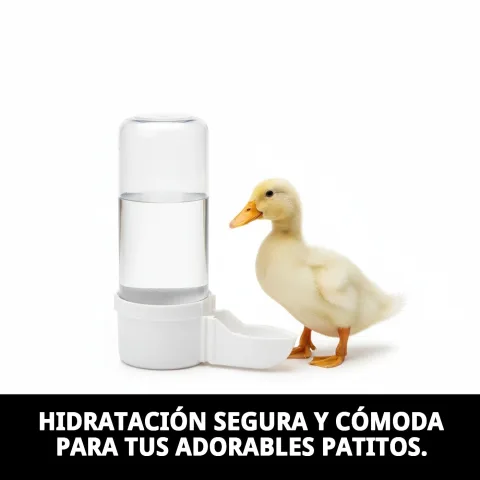 Abreuvoir court pour canards installé dans une cage
