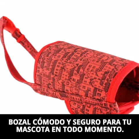 Chien portant le Bozal Deluxe Casitas Rojas lors d'une promenade