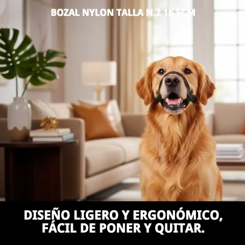 Perro con bozal de nylon en paseo por la ciudad