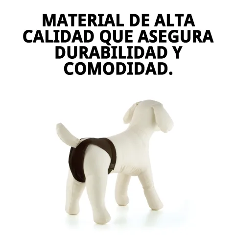 Ajuste de la braguita Slip Nylon Extra Nº5 en perro mediano
