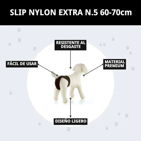 Braguita Slip Nylon Extra Nº5 lavable y fácil de mantener para perros