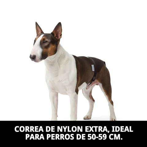 Cierre ajustable de la Braguita Slip Nylon Extra Nº4