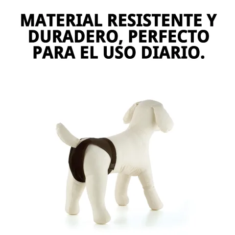 Braguita Slip Nylon Extra Nº4 colocada en perro mediano