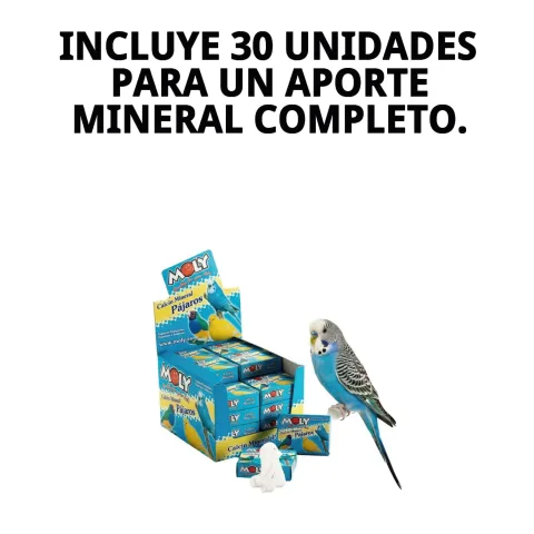 Unité de supplément de calcium pour oiseaux Moly