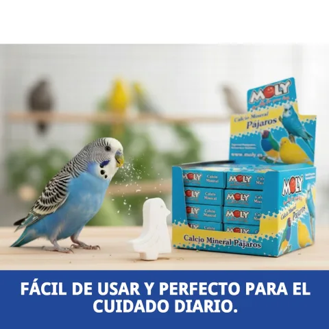 Détail du supplément de calcium pour oiseaux Moly