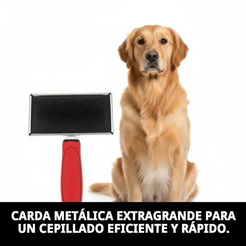 Detalle de púas metálicas flexibles de la carda Moly Confort
